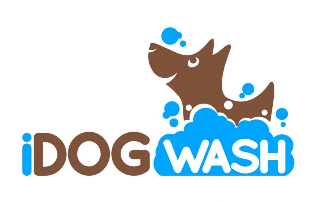 Együttműködés az iDogWash Önkiszolgáló kutyamosó gyártójával